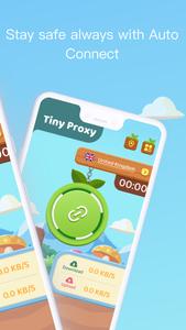 Tiny Proxy—Secure&Private
