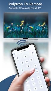Remote for Polytron TV