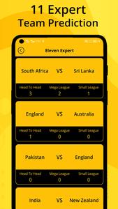 eleven expert teams prediction