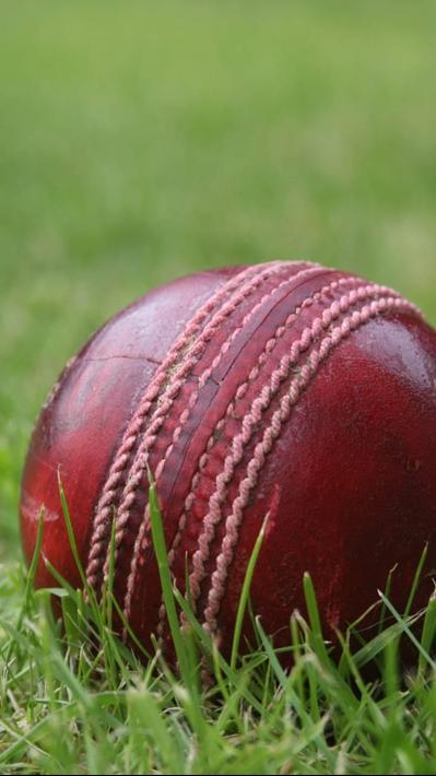 Cricket Wallpapers