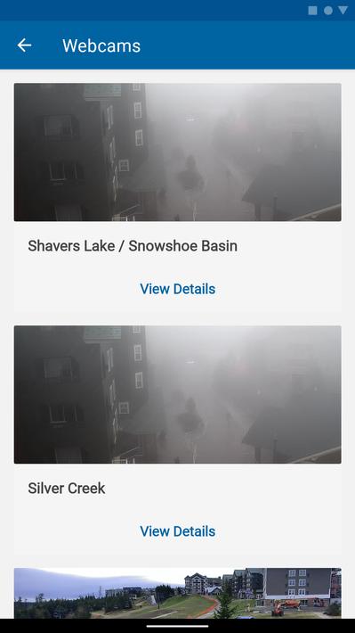 Snowshoe Mountain
