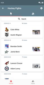 Hockey Fights