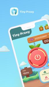 Tiny Proxy—Secure&Private