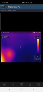 Thermview Pro
