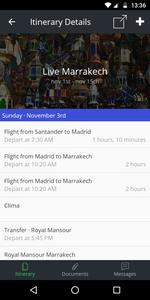 Palatine Travel Live