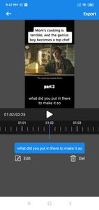 Video Auto Subtitles-Captions