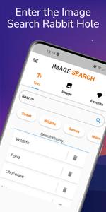 Image Search Pro