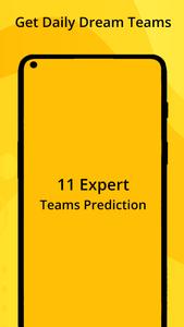 eleven expert teams prediction