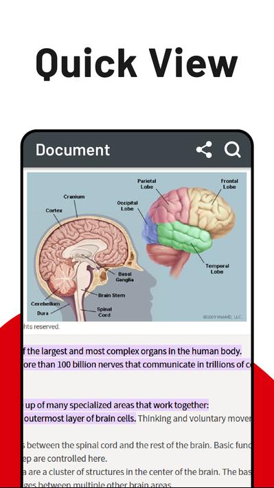 PDF Reader - Read PDF