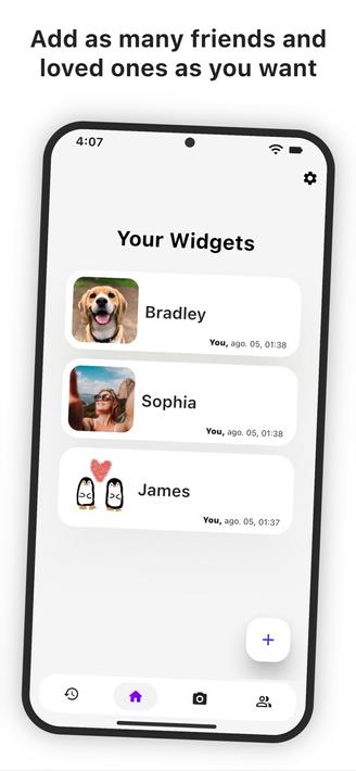 Widgetshare