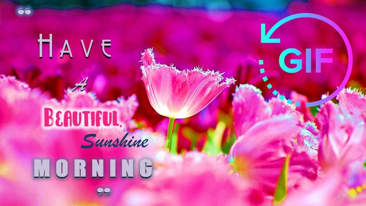 Good Morning Gif Wish Messages