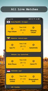 Live Football Goals & Scores