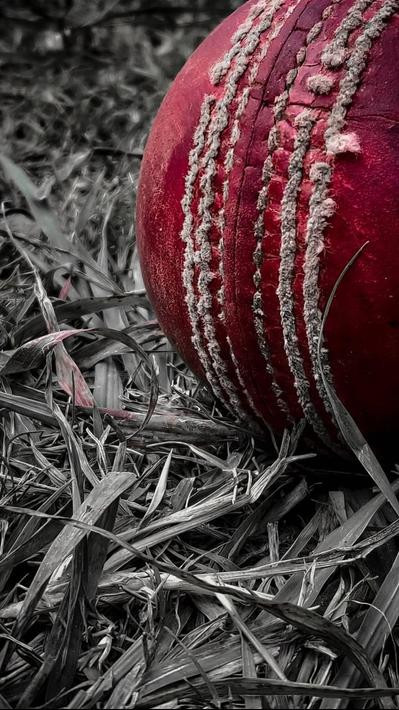 Cricket Wallpapers