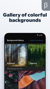 Yandex Browser (beta)