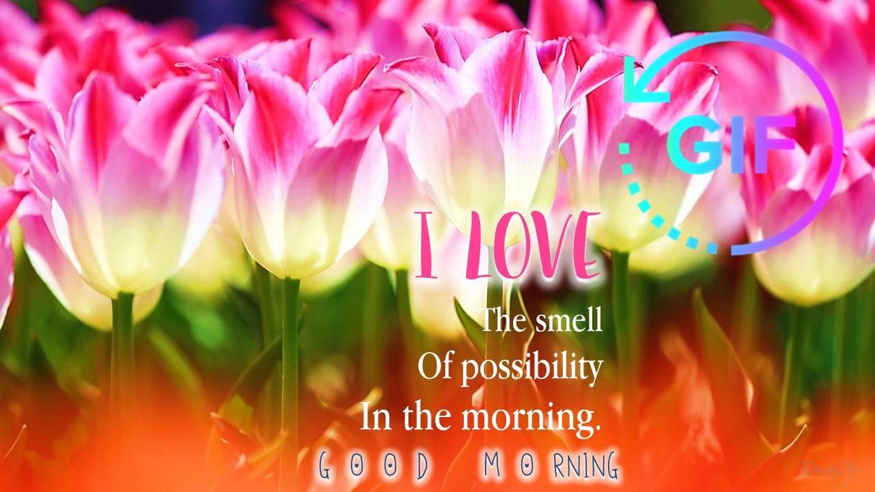 Good Morning Gif Wish Messages