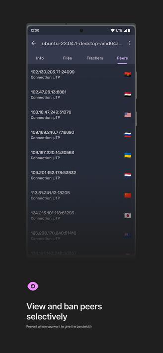 qBittorrent Manager