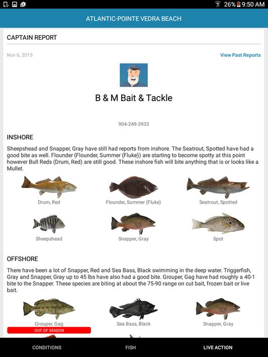 Pro Angler