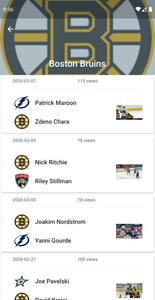 Hockey Fights