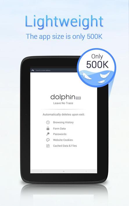 Dolphin Zero