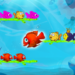 Fish Sort Color Puzzle Game